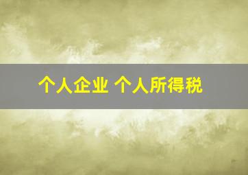 个人企业 个人所得税